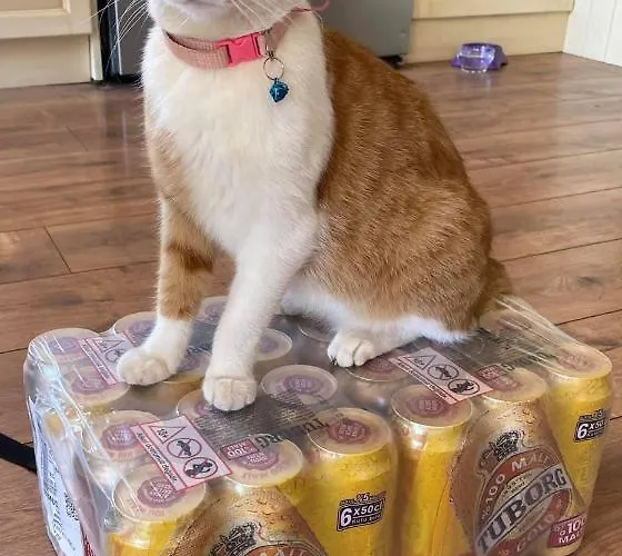 Hotel Leons Sun Village