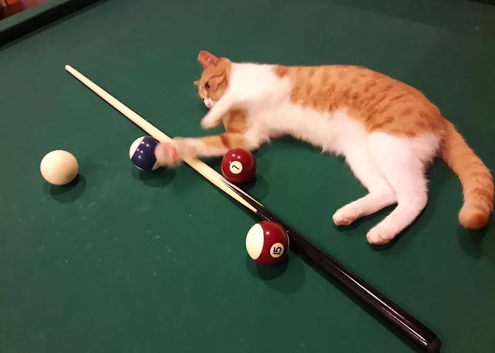 Leons Sun Village 4* Marmaris