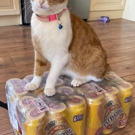 Hotel Leons Sun Village