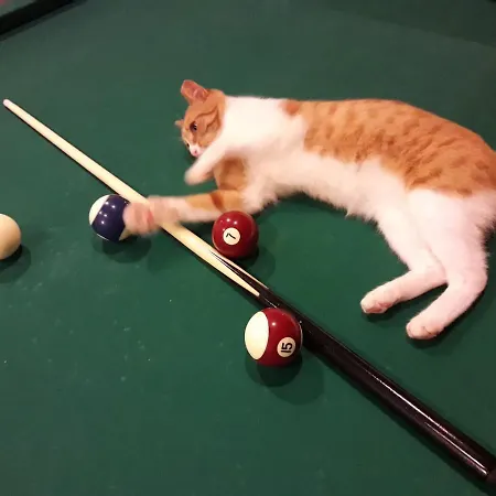 Leons Sun Village 4* Marmaris